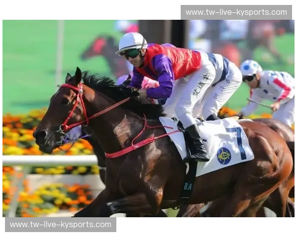 赛马首发：把握一跃而起的最佳时刻